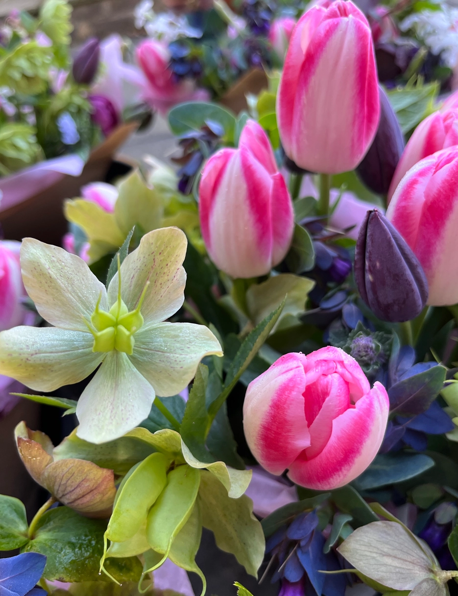 Fresh local bouquets